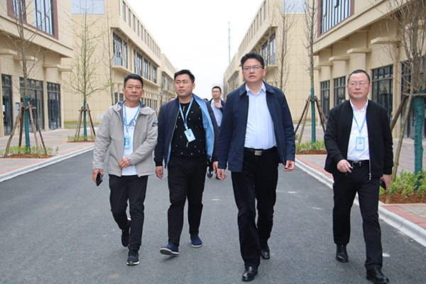 常德市委常委、市当局常务副市长罗毅君调研bifa必发集团常德高星国际商贸物流城项目(图2)