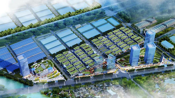 常德市委常委、市当局常务副市长罗毅君调研bifa必发集团常德高星国际商贸物流城项目(图3)