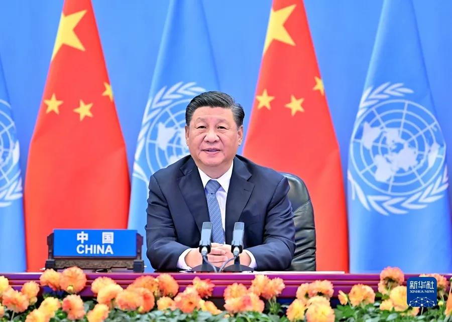 自动合作 精准对接 各大金融机构缘何青睐bifa必发集团？(图2)