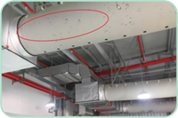 pg电子游戏试玩(中国)官方网站